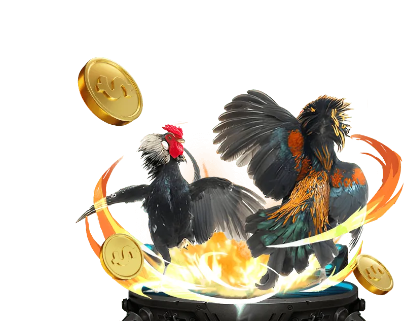 Gà chọi dũng mãnh tại kong88 casino